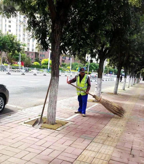 槐花飘香满城道，环卫挥帚护洁忙——市政环卫全力保障春季环境卫生与设施服务